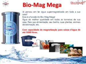 MEGA